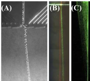 Figure 8. Separation of fluorescent spheres in an open-top nanoarray.