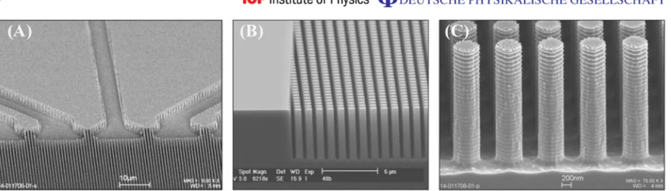 Figure 2. (A) The photolithographically constructed feeder channels to the nanofabricated bump array