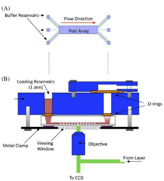 Figure 3. (A) The basic flow pattern of fluids in the array. (B) Schematic of the chip jig in which the optical measurements were made.