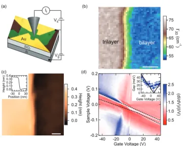 FIG. 1. Experimental setup. (a) Schematic of the measurement setup showing the STM tip and an optical microscope image of a measured sample of few layer graphene on hBN