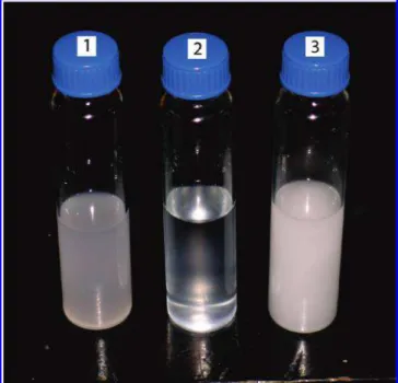 Figure 2. Evolution of a clouded solution of Igepal CO-520 in absence (1) and presence (2 and 3) of β-CD