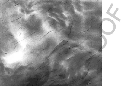 FIGURE 16.8 TEM of PNC from Ube shows “in-plane” orientation of MMT platelets.