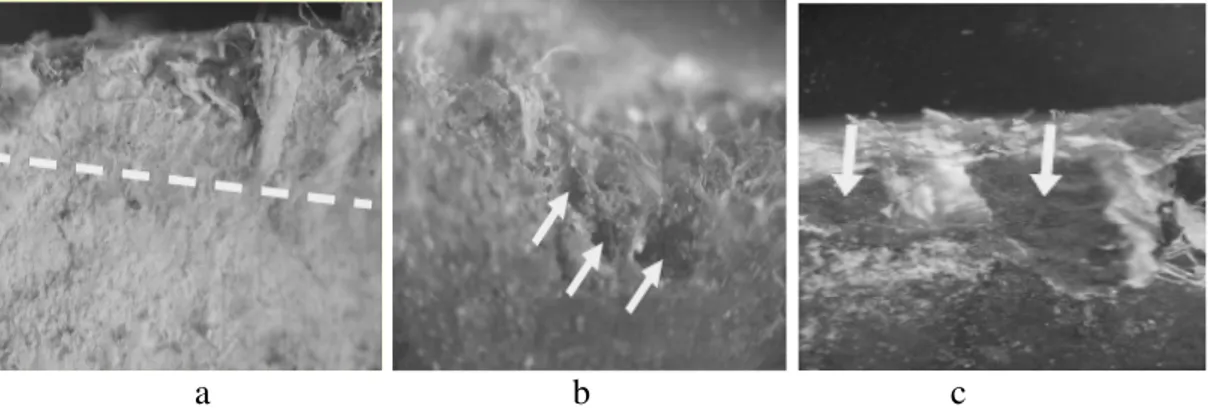 Fig. 2  Photos of AC pipe: (a) inside wall of AC pipe is coated with a layer of patina 3-4 mm depth; (b)  patina is thick fibrous films that are composed of high fibrous asbestos and some biomass forming  gelatinous like materials; (c) patina tends to have