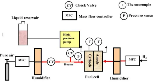 Fig. 1. Schematic of the metal ion contamination testing system.