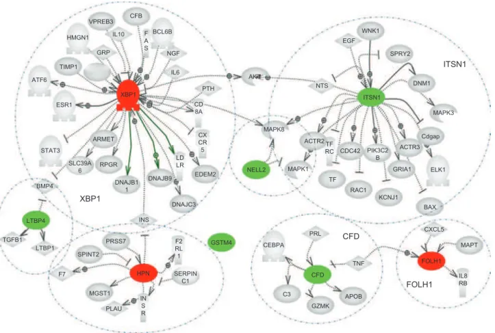 Figure 8.  Regulators of the analysed genes determined from Pathway Studio literature search (Pathway Studio 7.0)