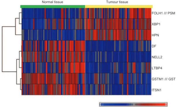 Figure 3.  Heat map showing the gene expression values for the biomarker gene panel set as determined in the work by Singh et al