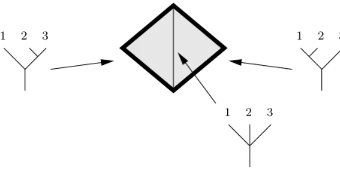 Figure 3-6: One piece of B(Ass + )(3)