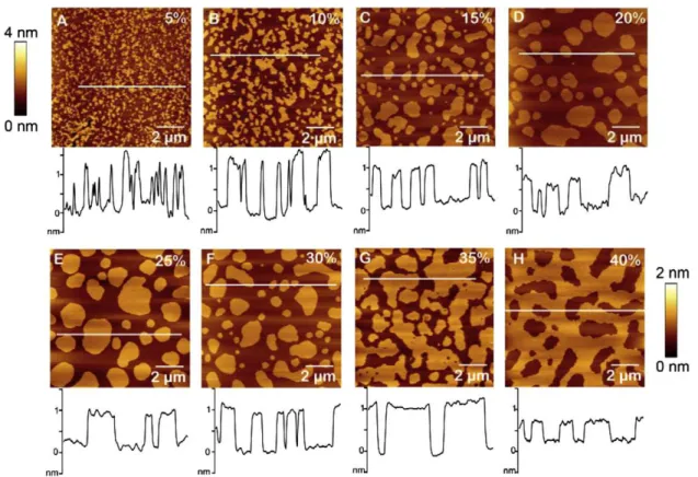 Fig. 1 also demonstrates how the morphology of the DOPC/SM/Chol bilayers evolves with increasing Chol concentration