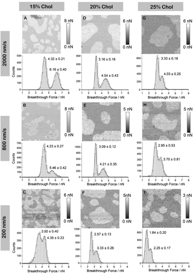 FIGURE 2 Representative breakthrough force maps and corresponding histograms of DOPC/SM/Chol bilayers at a series of loading rates