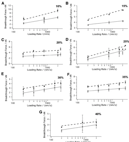FIGURE 5 Rupture activation energies of the coexisting phases (L o and L d ) in DOPC/SM/Chol bilayers with 10–40% cholesterol.