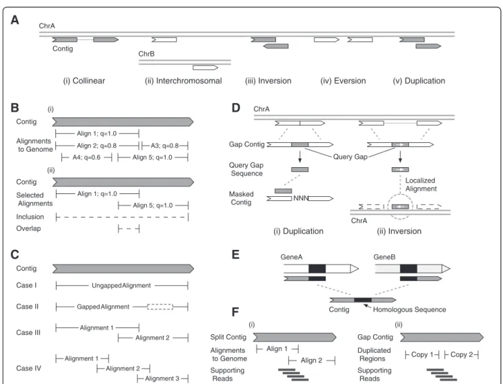 Figure 3 Details of the Barnacle pipeline. A) Contrasting a collinear alignment topology (i) with non-collinear topologies: (ii)