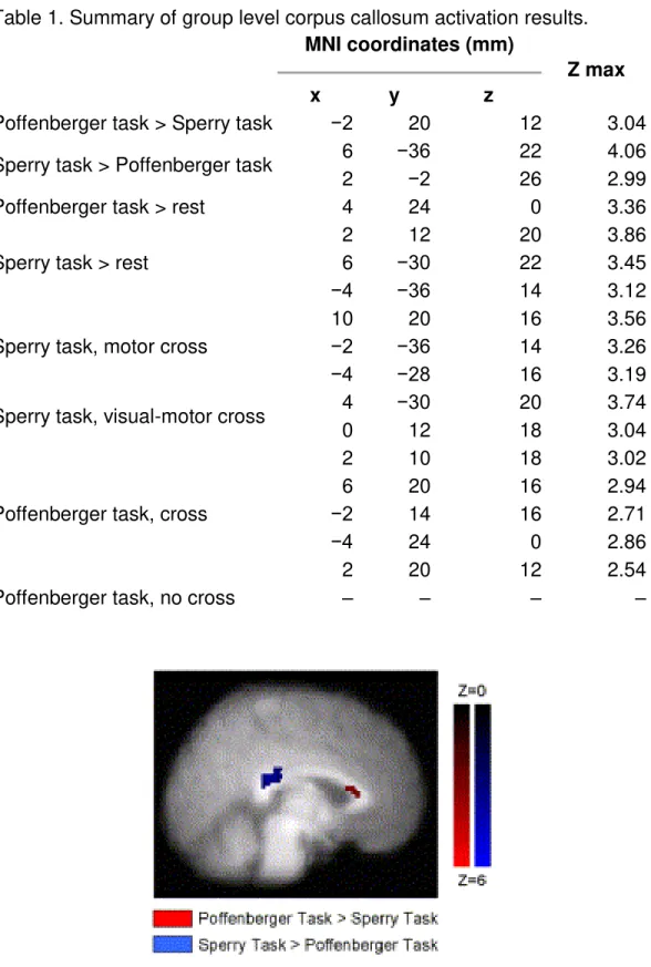 Table 1. Summary of group level corpus callosum activation results. 