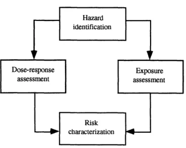 Figure 3-1.  Four steps of a quantitative  risk assessment.