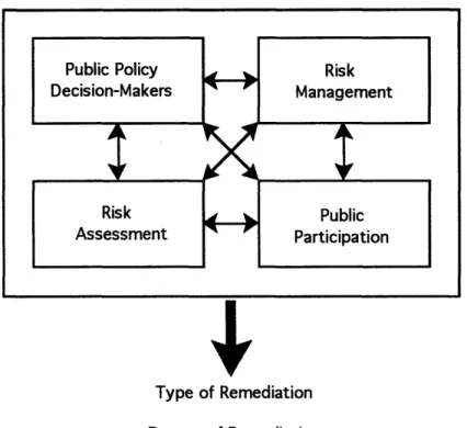 Figure 3-2.  Four major factors that influence remedial action decisions are  risk