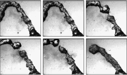 Fig. 2. A sequence of images captured by high frame rate video showing periodic breakup of the jet and fine droplet mist formation during high frequency ultrasonic atomization.