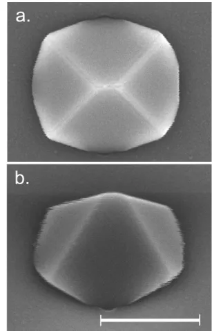 Figure 4. SEM images (a) plan view, and (b) at approximately 45 ◦ , of a structure grown to the point where it forms a completed {111}