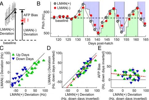 Fig. 3. The motor pathway contributes to accumulated changes in pitch. (A) Schematic showing the deviation of the preinactivation pitch [LMAN( ⫹ ), large gray dot] and postinactivation pitch [LMAN( ⫺ ), large red dot] from the average syllable pitch before