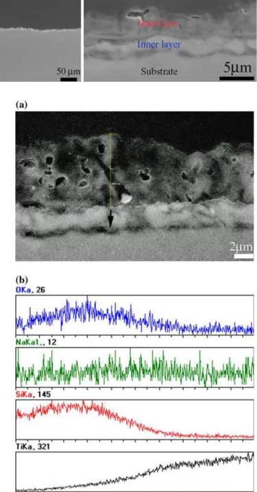 Fig. 4 a SEM image and b line scanning profiles of elements across the coating layer prepared at 900 Hz, D = 20%, R = 3