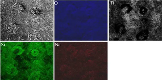 Fig. 6 Surface SEM images of the coatings prepared under D = 20%, R = 3, and at different frequencies: a 900 Hz;
