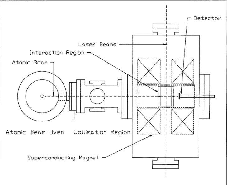 Figure  1.  Superconducting  magnet  and  atomic  beam  apparatus.