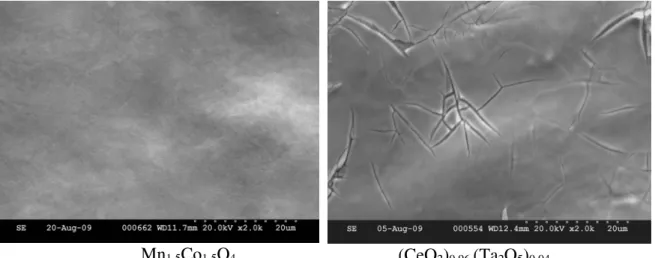 Fig. 2: SEM micrographs of the top surfaces of as-deposited coatings. 