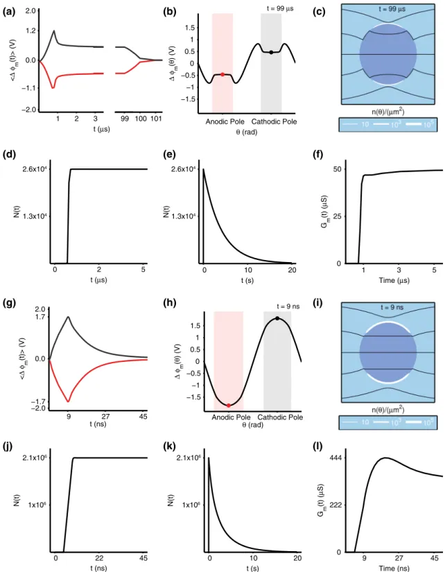 Fig. 2 Electrical and poration behavior for a 1.5 kV/cm, 100 ls pulse (a–f) and a 40 kV/cm, 10 ns pulse (g–l)