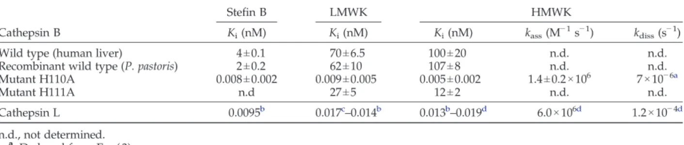 Table 1. Inhibition of wild type and recombinant variants of cathepsin B by stefin B and kininogens Cathepsin B