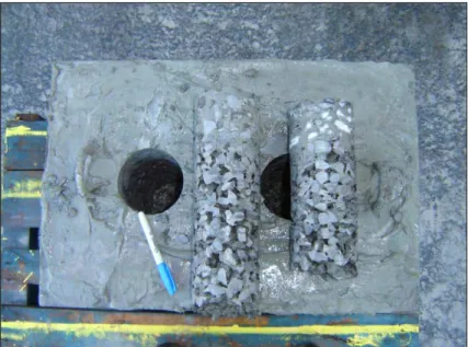 Figure 9. Cores extracted from concrete prism. 