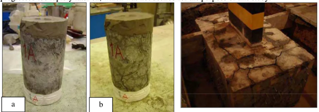 Figure 5. Pervious concrete cylinder 1A at 6 hrs (a)  Figure 6. AAR-affected concrete  lts, with considerable free expansion and large 