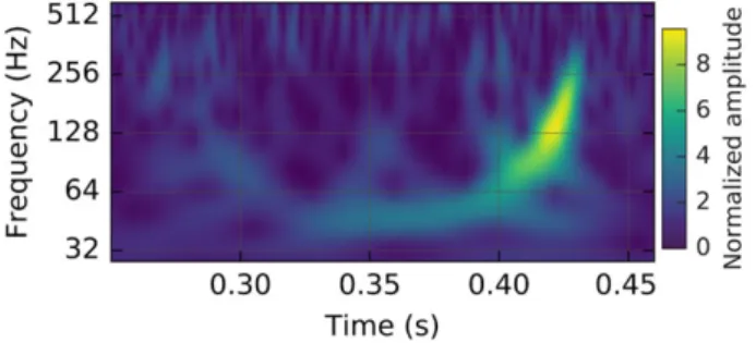 Figure 2 A representation of the strain-data as a time-frequency plot (taken from [1]), where the increase in signal frequency (“chirp”) can be traced over time.