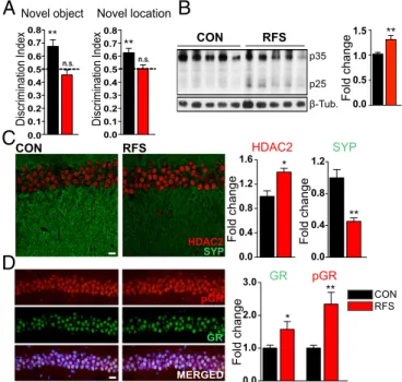 Fig. 1. Repeated stress induces hippocampal molecular changes and learning and memory deficits
