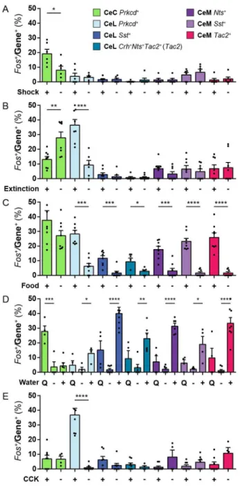 Figure 3. Genetically distinct CeA neurons are activated by distinct stimuli