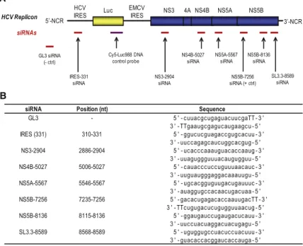 Figure 2. HCV-Specific siRNAs