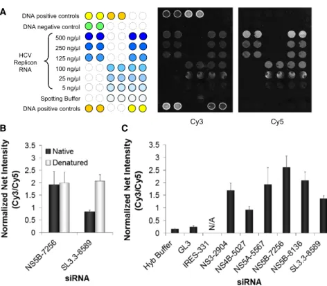 Figure 3. Viral RNA Microarrays