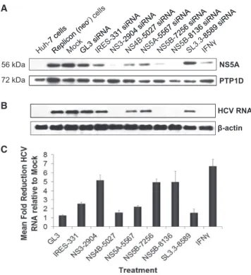 Figure 6. Analysis of siRNA Knockdown in Cell Culture