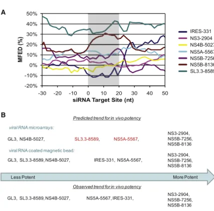 Figure 7. Analysis of HCV-Specific siRNA Target Sites (A) Distribution of MFEDs across the siRNA target sites and the adjacent 30 nt based on folding energy scans of the 83  pub-lished HCV genotype 1b sequences available in GenBank.