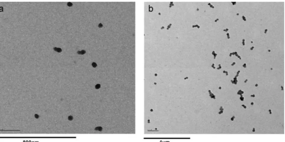 Figure 5. TEM images of micelle particles prepared at a concentration of 0.19 mg  mL 1 and M/A of 4/4.