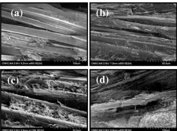 Figure 6. Interlaminate shear strength for different  PP/flax composites 