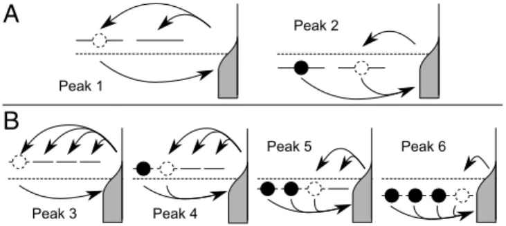 Fig. 3. The asymmetry between adding and removing electrons because of degeneracy on the QD