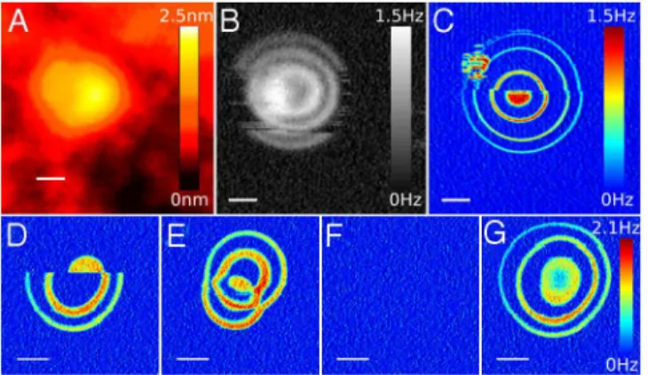 Fig. 5 shows two such cases. The structure in Fig. 5A shows a fluc- fluc-tuation in electron population because of nearby flucfluc-tuations in the electrostatic background at both 78 (Fig