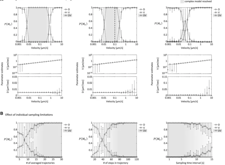 FIGURE 2 Diffusion plus flow simulations and effect of sampling limitations. (A) Model probabilities for simulated trajectories undergoing diffusion plus flow with D ¼ 0.005 m m 2 /s, dt ¼ 2.5 s, and varying y as shown along the x axis