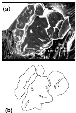 Figure 2. (a) SEM image of flat cross-section image  after cutting procedure; (b) the boundary line of  cross-section in (a) traced out using Adobe Photoshop 4.0  LE software 