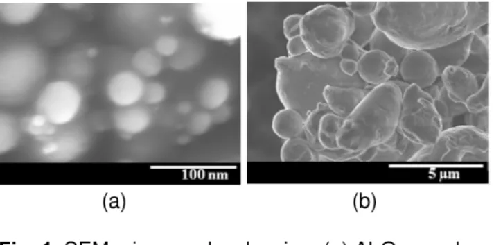 Fig. 1. SEM micrographs showing: (a) Al 2 O 3  powder  and (b) initial Al powder. 