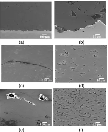 Fig. 7. Polished coating cross-sections at two  agnifications: (a) and (b) Initial Al coating, (c) and 