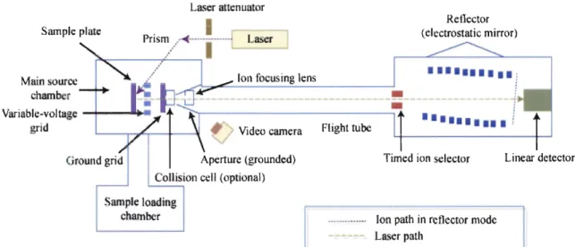 Figure 4: SELDI-TOF mass spectrometry schematic 