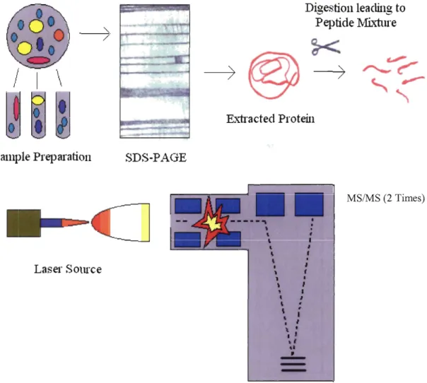 Figure  5. Steps involved in pre-filtering  and  tandem mass spectrometry 