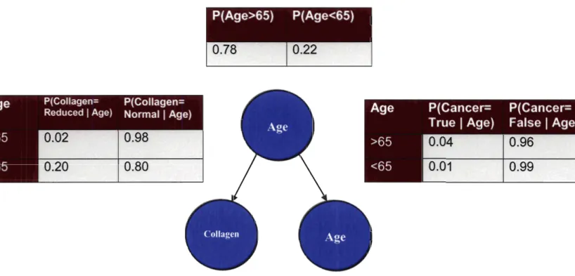 Figure 6: Conditional  Probability Tables (CPT) 