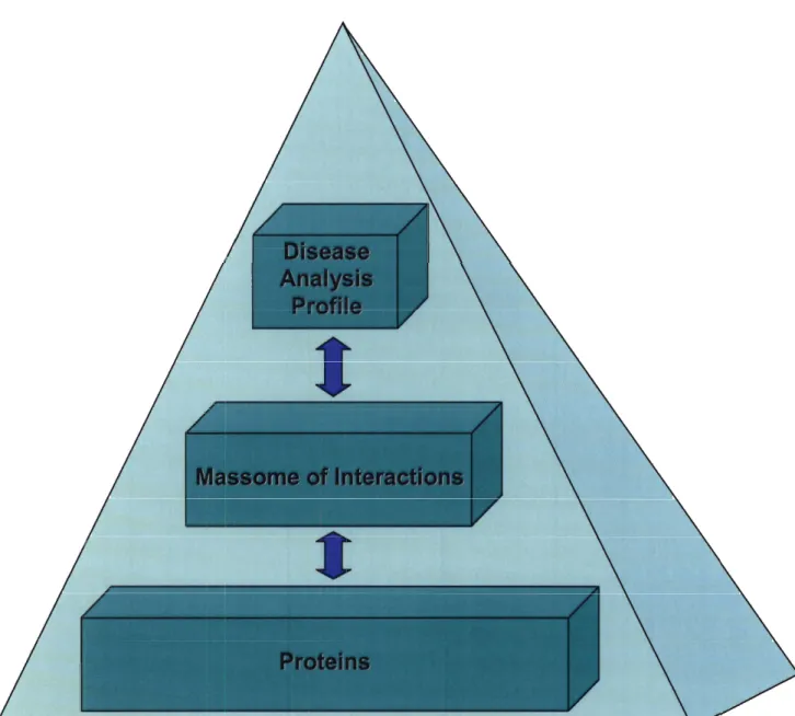 Figure 9: Hierarchical levels of analysis  for the Bayesian framework 