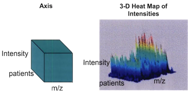 Figure  10:  SELDI mass spectrometry data axes 