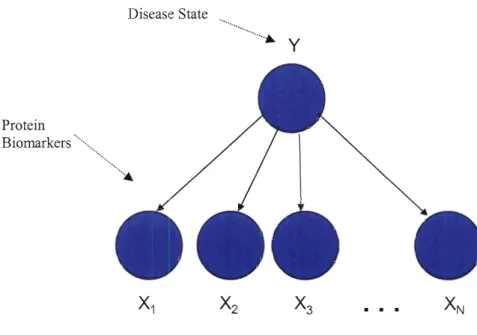 Figure  11  :  A simple Bayesian classifier 